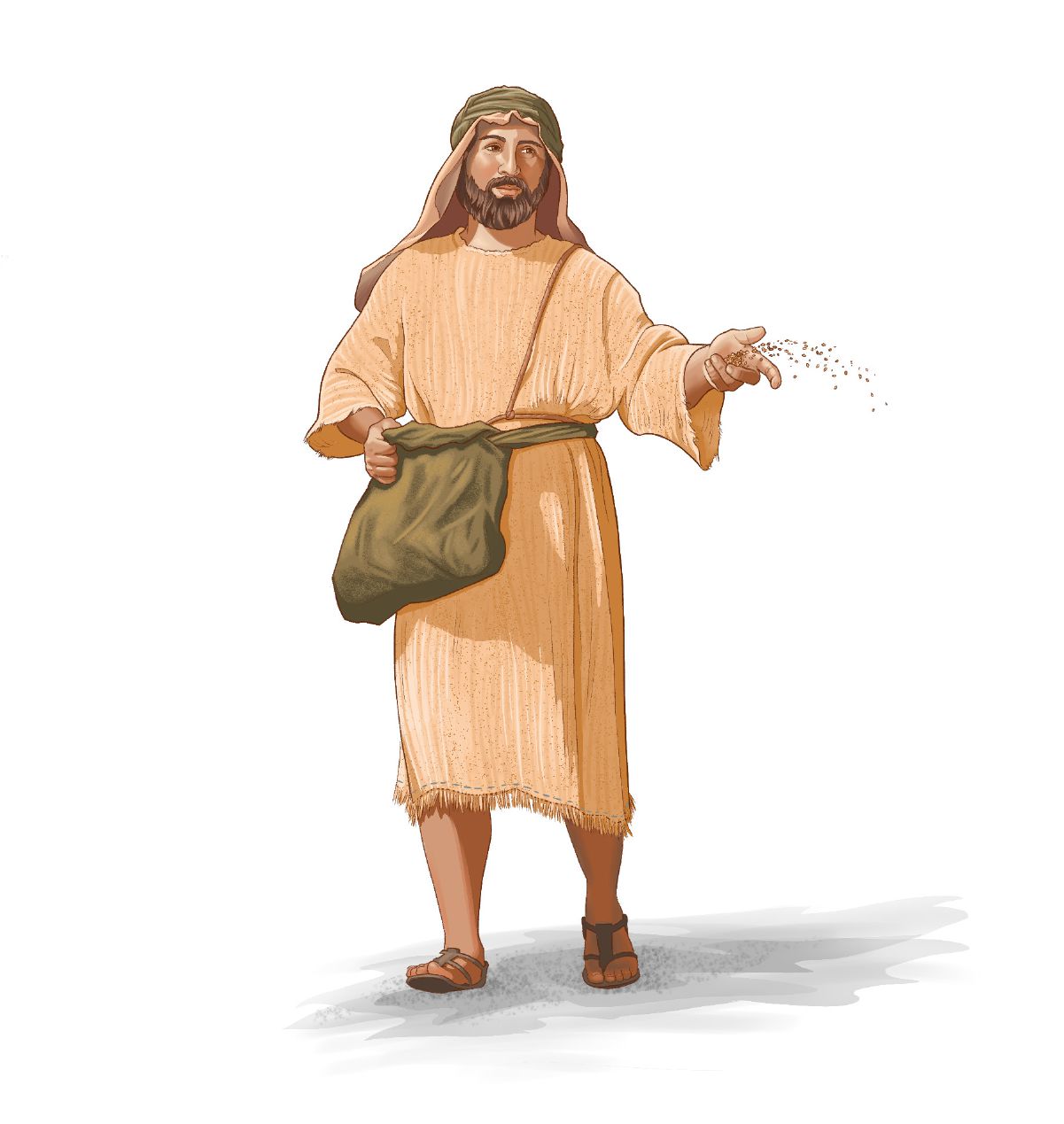 หว่าน​เมล็ด​พืช