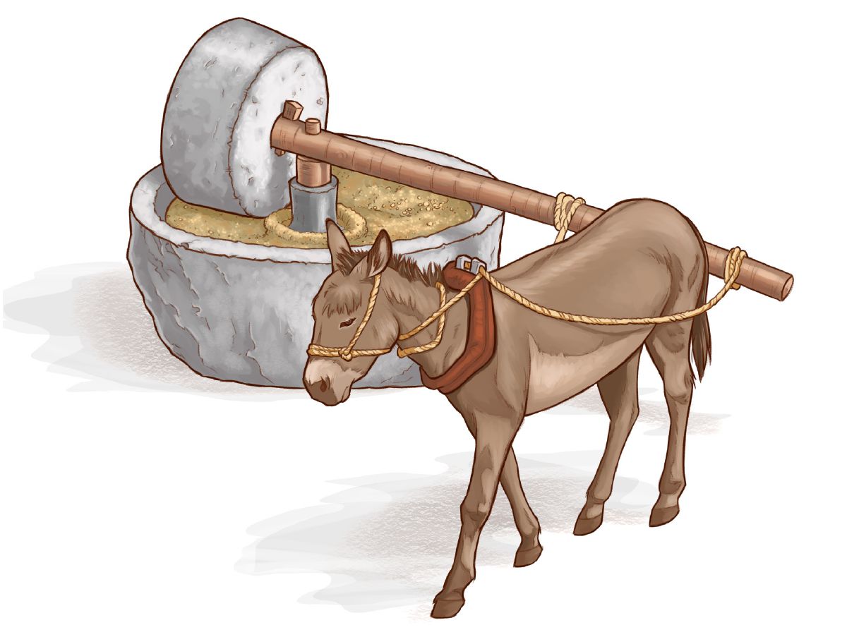 หิน​โม่