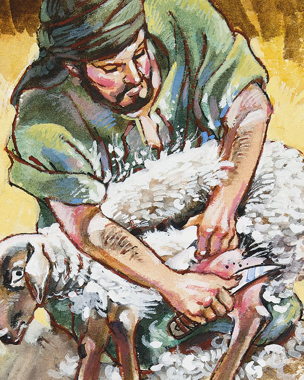 [ภาพ​หน้า 26]