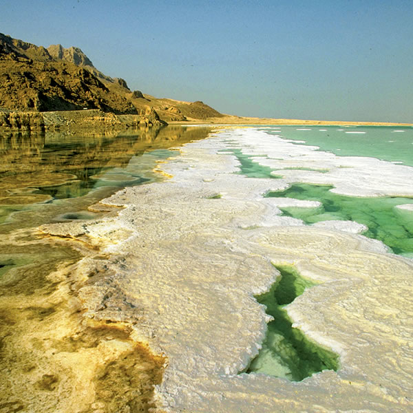 [ภาพ​หน้า 21]