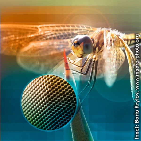 [ภาพ​หน้า 9]