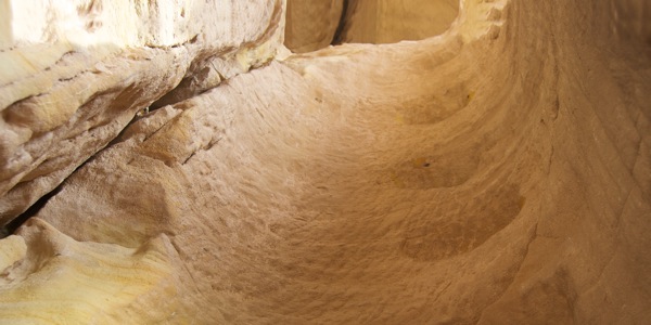 [ภาพ​หน้า 12]