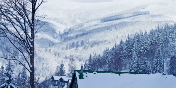 [ภาพ​หน้า 5]