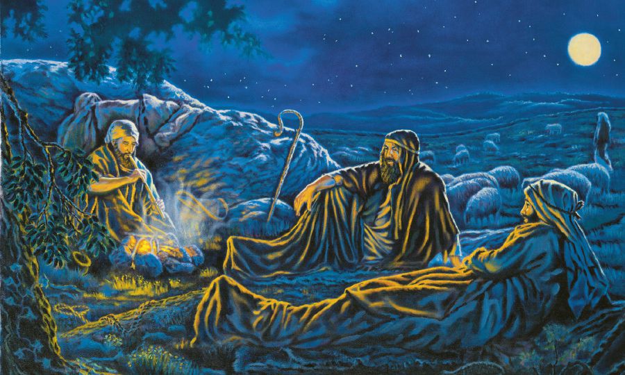 ጓሶት ብለይቲ ኣብ መሮር