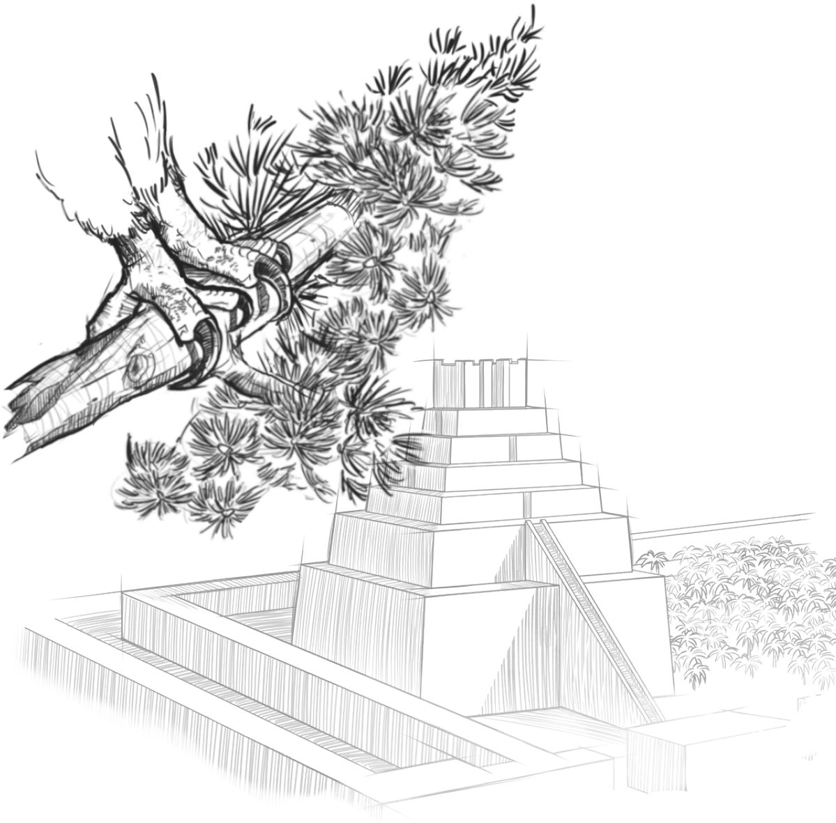 ሓደ ንስሪ ብጽፍሩ ጨንፈር ኦም ቄድሮስ ናብ ባቢሎን ይወስድ።