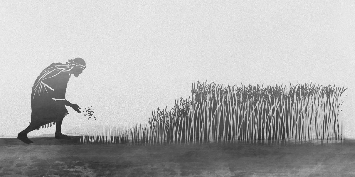 ሓደ ሰብኣይ ኣብ ግራት ካልእ ክርዳድ ይዘርእ