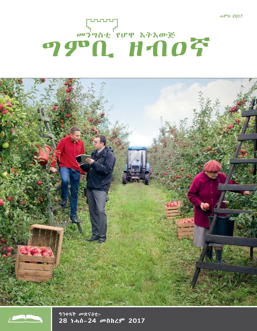 ግምቢ ዘብዐኛ ሕታም መጽናዕቲ፡ ሓምለ 2017