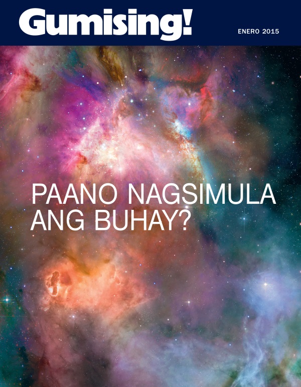 Pabalat ng Magasing Gumising!, Enero 2015 | Paano Nagsimula ang Buhay?