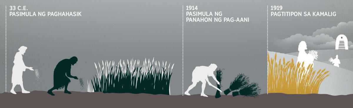 Timeline ng paghahasik, pag-aani, at pagtitipon sa kamalig