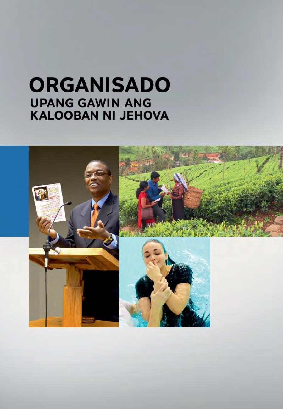 abalat ng aklat na Organisado Upang Gawin ang Kalooban ni Jehova