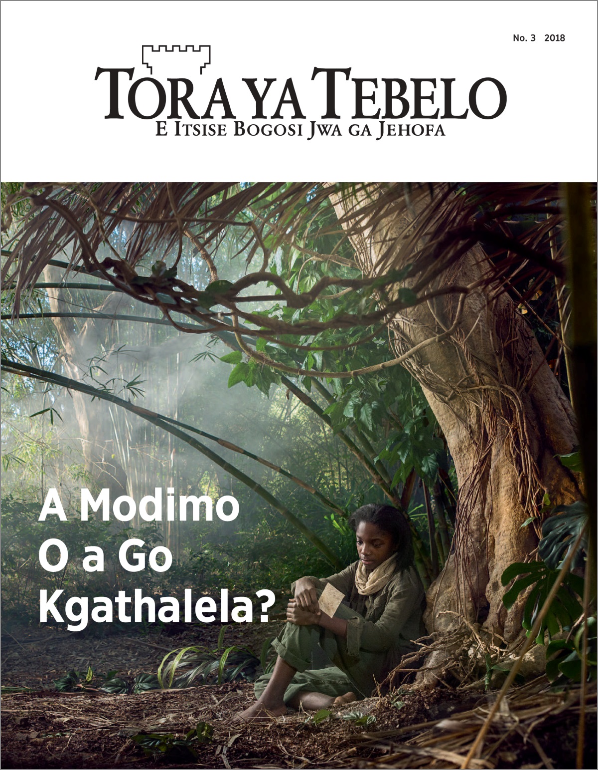 “Tora ya Tebelo” ya No. 3 2018.