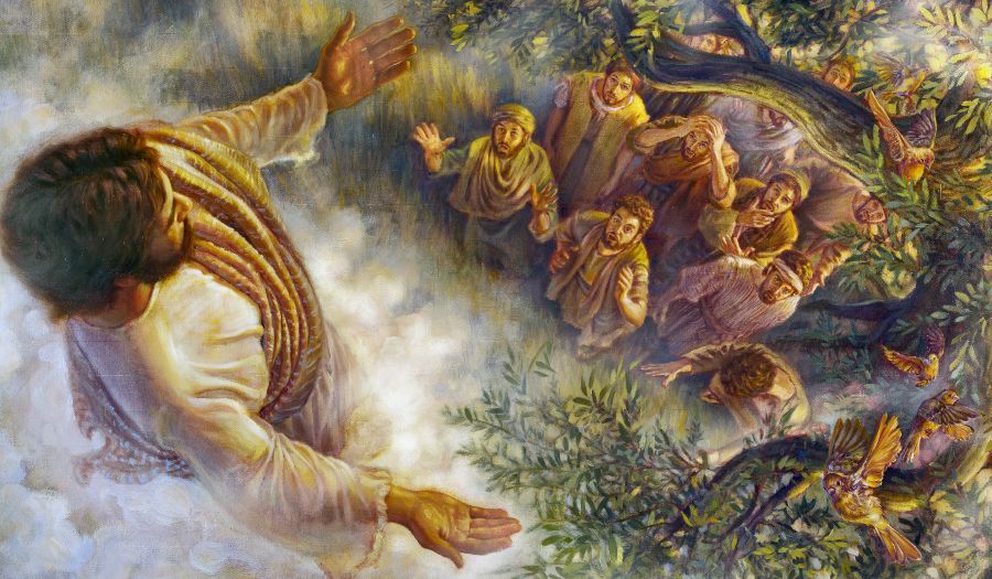 Jesús subiendo al cielo mientras los apóstoles lo observan fijamente.