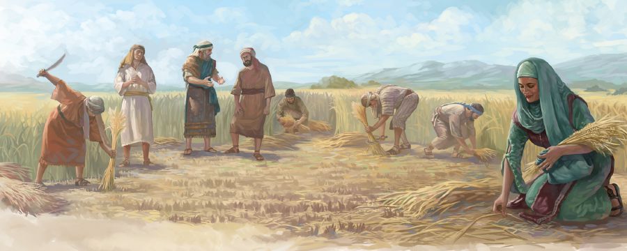 Aso Rut roʼonataxatac huaña na lanaxanqaʼ so Boaz