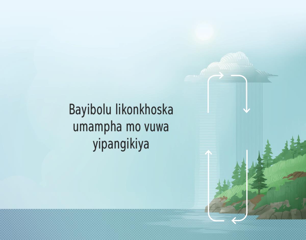 Bayibolu likonkhoska umampha mo vuwa yipangikiya. Timivi tilongo mo maji ngatende kutuwa pacharu chapasi kuluta kuchanya kweniso mo ngawere pacharu.