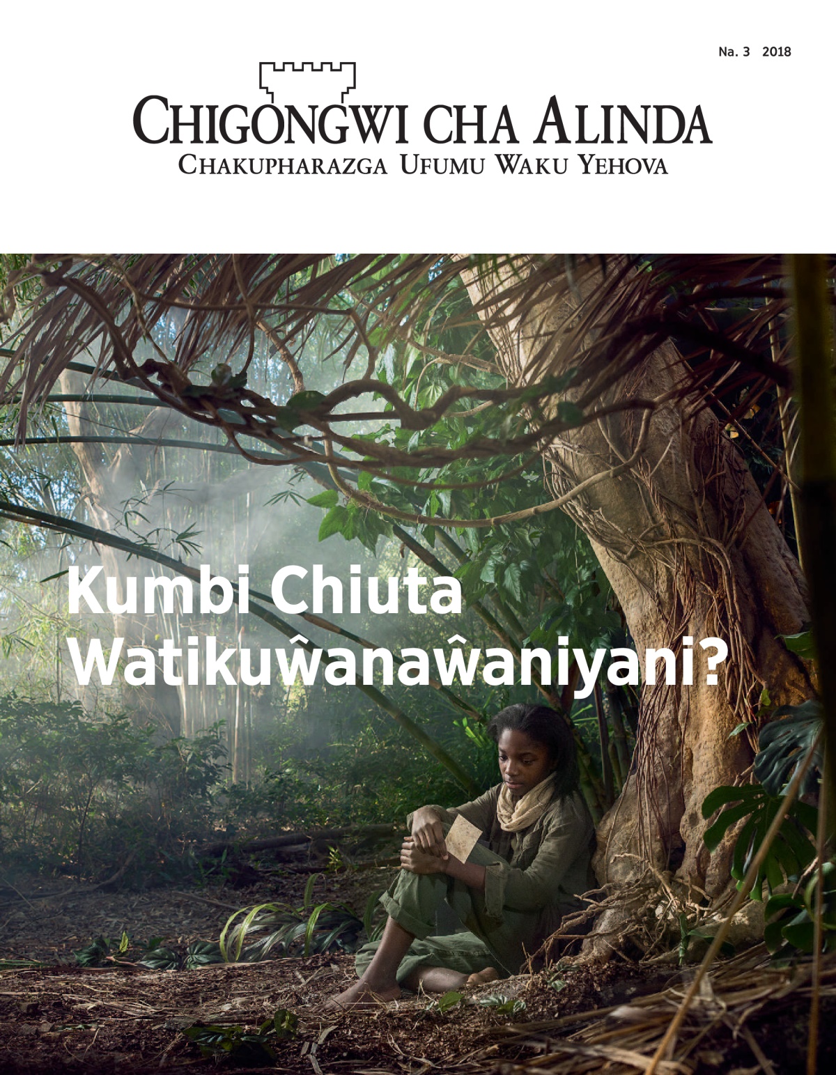 ‘Chigongwi cha Alinda’ cha Na. 3 2018.