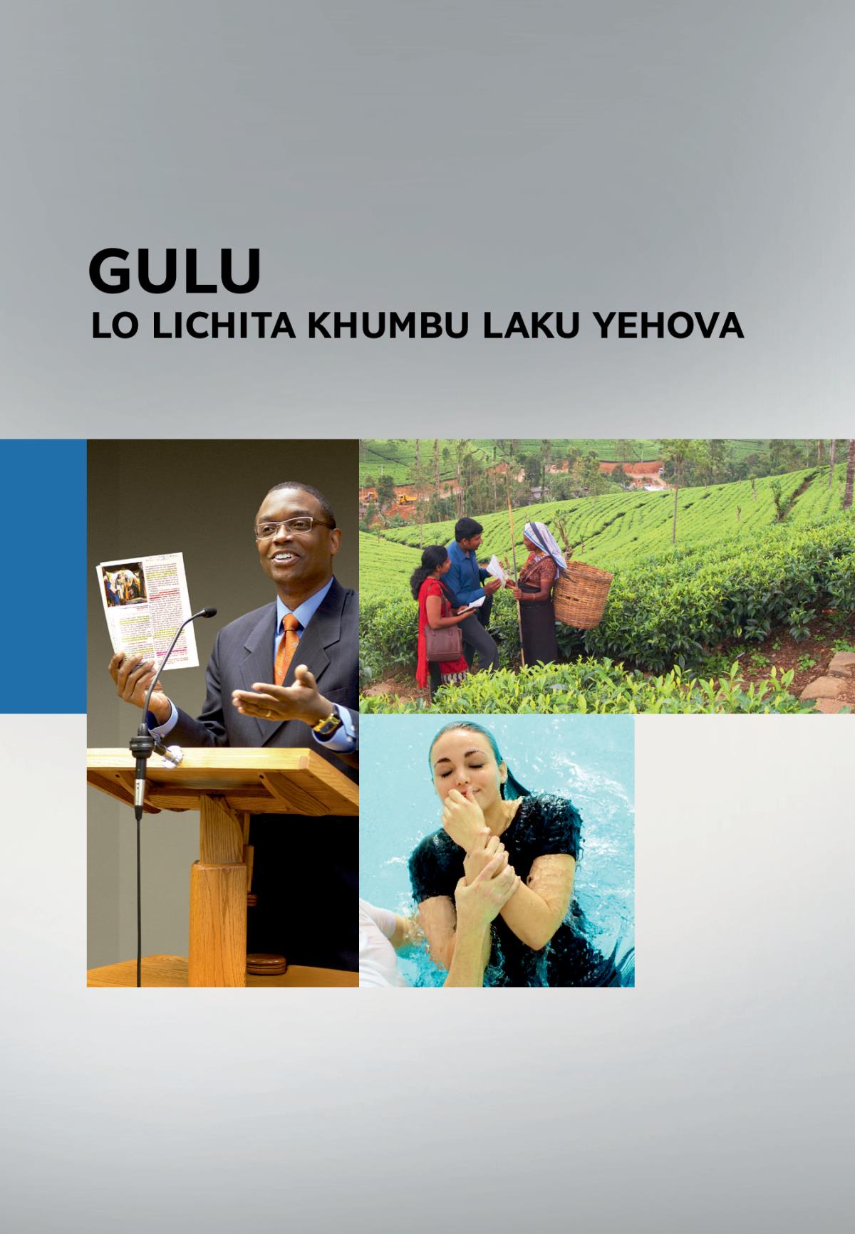 Peji lakwamba la buku lakuti Gulu lo Lichita Khumbu laku Yehova