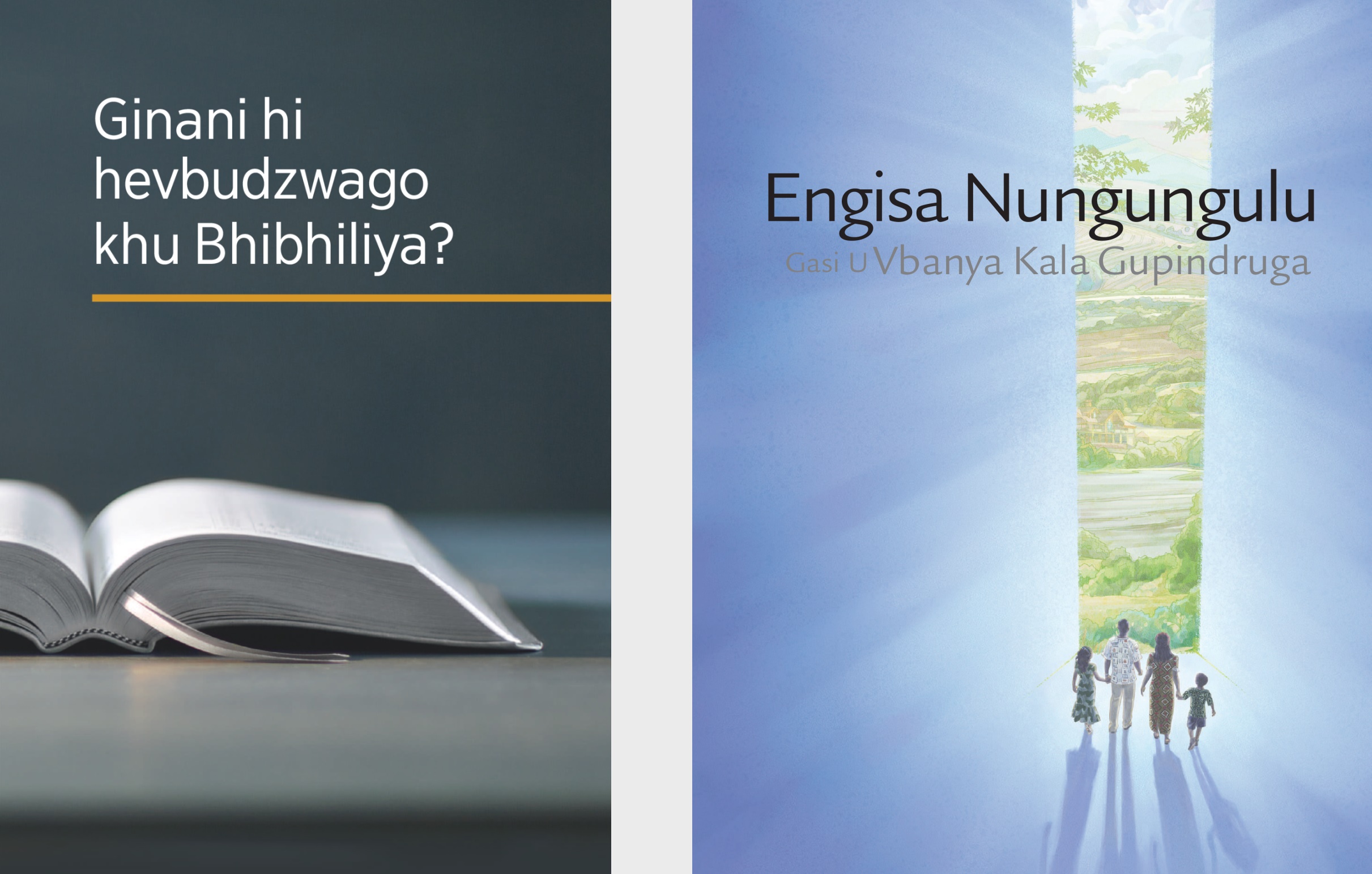Libhuku ʼGinani hi hevbudzwago khu Bhibhiliyaʼ; ni Bruxura ʼMahungu nya yadi ya Nungunguluʼ