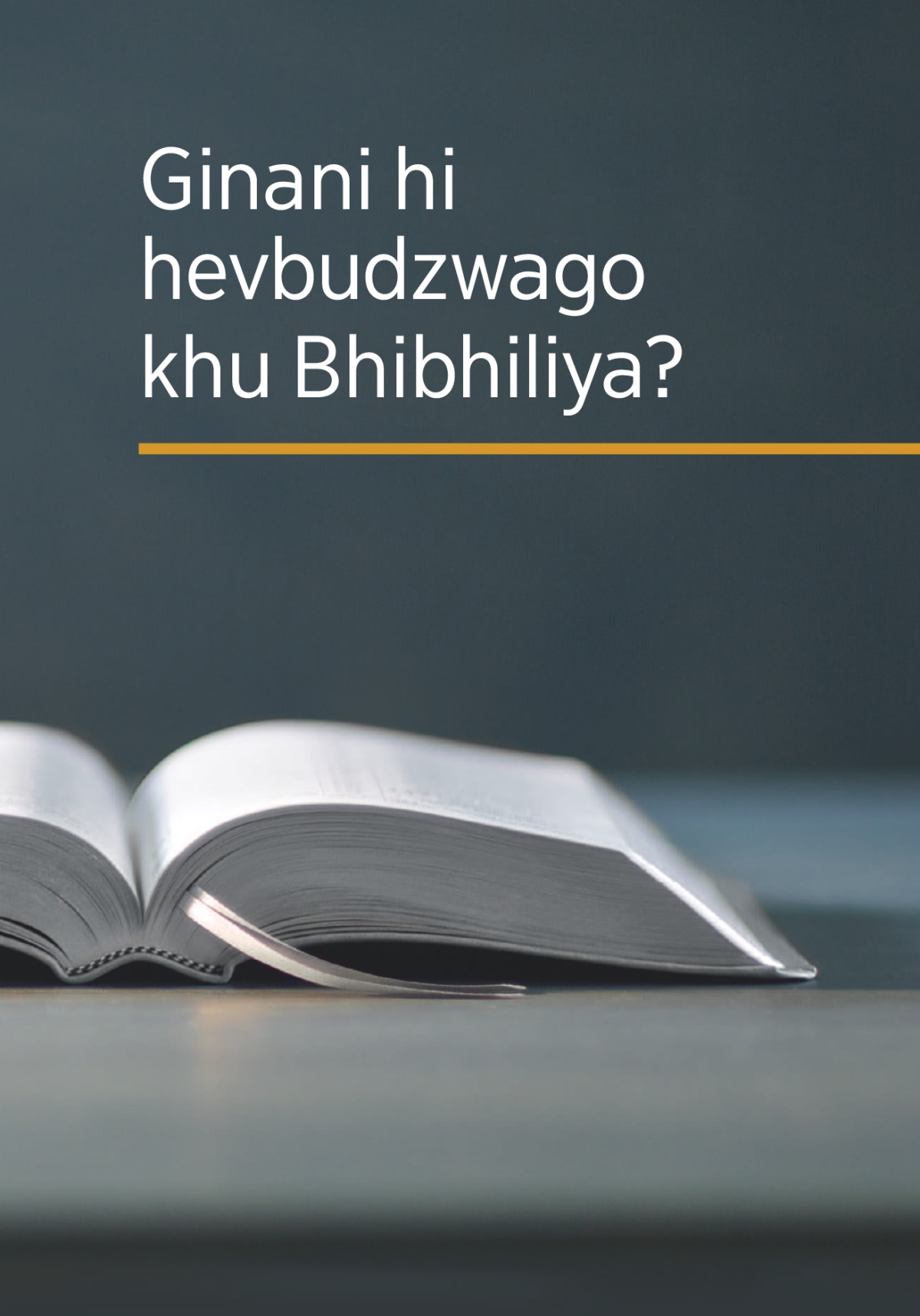 Libhuku ‘Ginani hi hevbudzwago khu Bhibhiliya?’