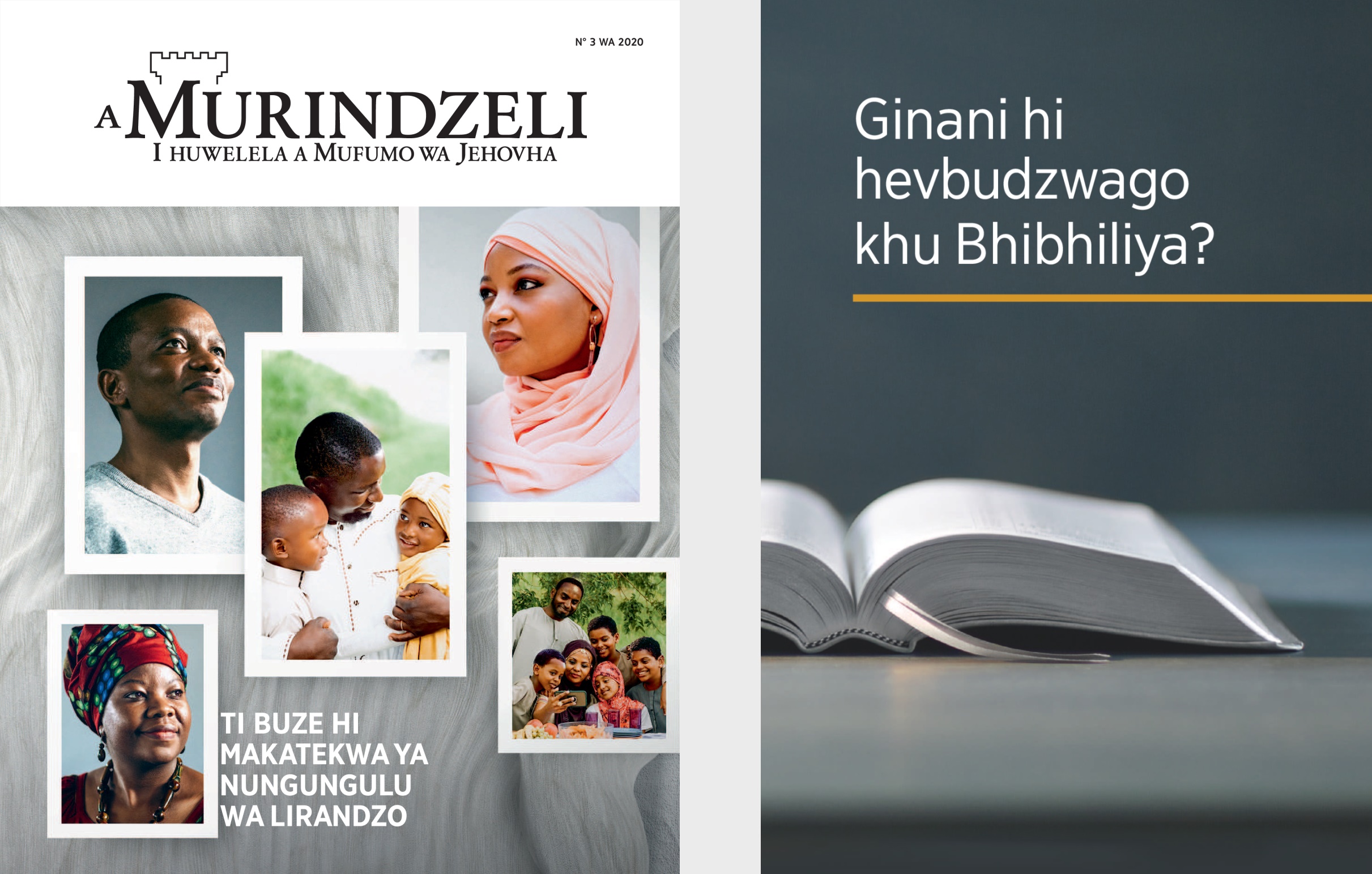 Libhuku ‘Ginani hi hevbudzwago khu Bhibhiliya?’ ni ‘Mukhedziseyi’ N. 3 nya 2020.