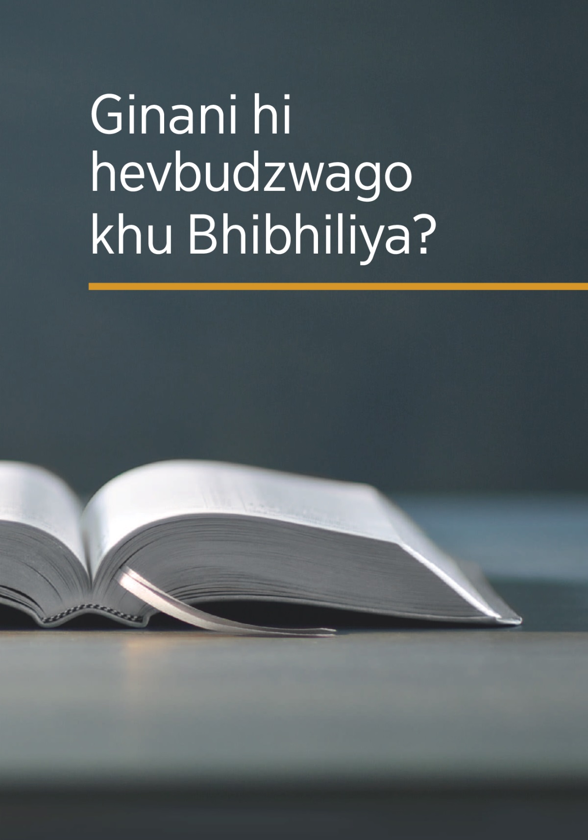 Libhuku ‘Ginani hi hevbudzwago khu Bhibhiliya’