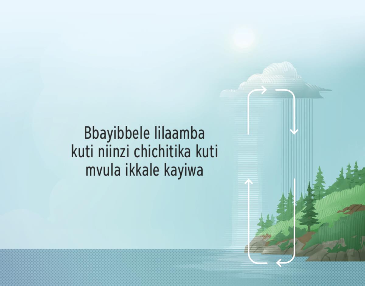Bbayibbele lilaamba kuti niinzi chichitika kuti mvula ikkale kayiwa. Ma-arrow atondeezya zintu zichitika kuti mvula iwe.