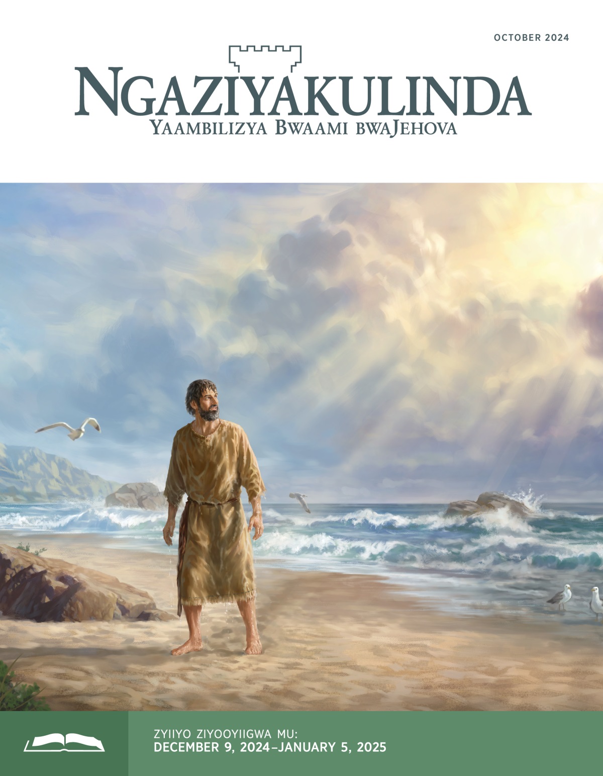 Mupolofita Jona uliimvwi kunkomwe yalwizi kalangide kujulu. Ulinabide.