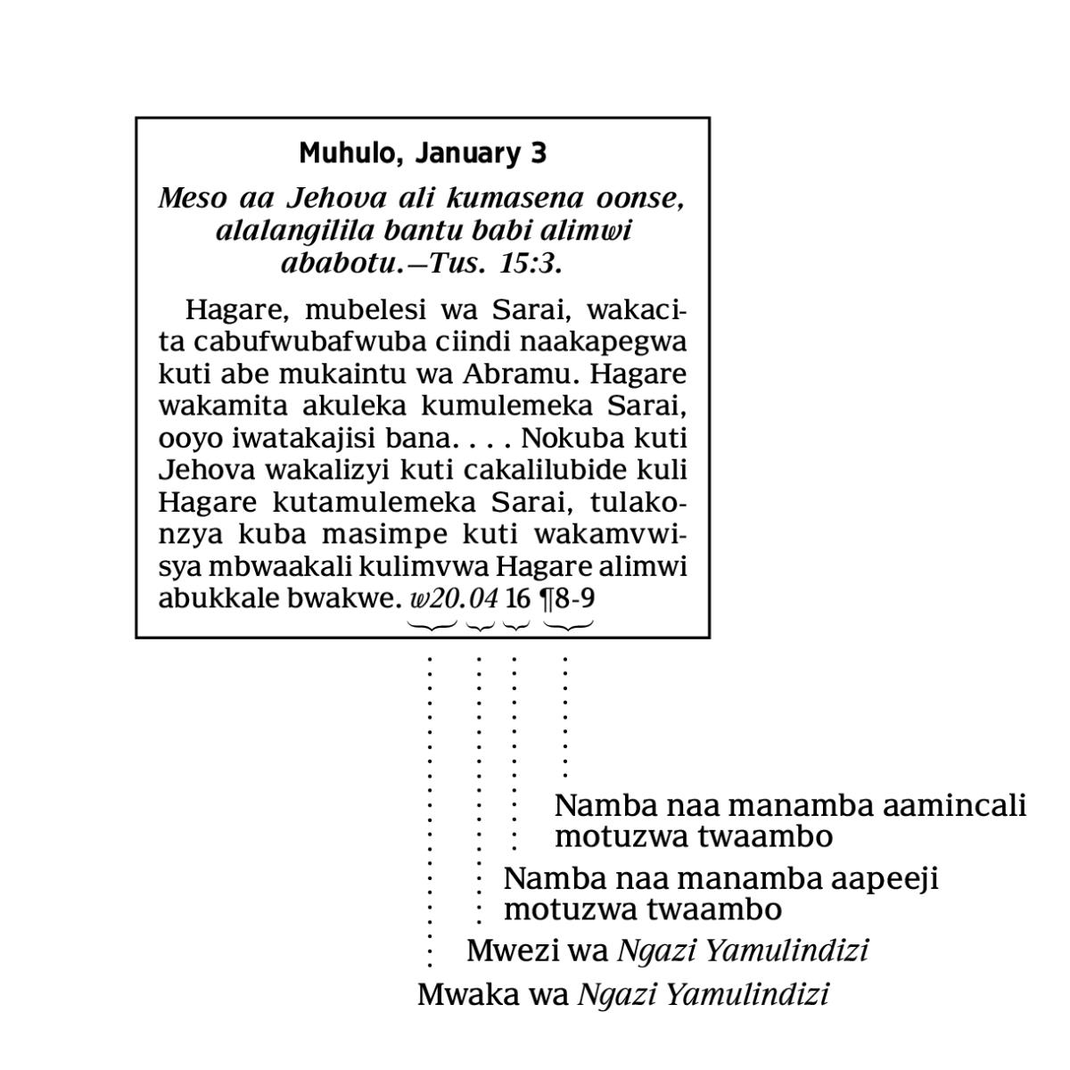[Cifwanikiso icili apeeji 6]