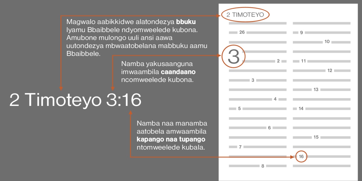 Mbomukonzya kujana tupango twamu Bbaibbele kubelesya lugwalo lwa 2 Timoteyo 3:16 kaluli cikozyanyo. Magwalo aabikkidwe alatondezya bbuku lyamu Bbaibbele ndyomweelede kubona, mbuli bbuku lya 2 Timoteyo (amubone mulongo uuli ansi aawa uutondezya mbwaavwula kutobelana mabbuku aamu Bbaibbele). Namba yakusaanguna imwaambila caandaano ncomweelede kubona, mbuli caandaano 3. Mpoonya namba naa manamba aatobela amwaambila kapango naa tupango ntomweelede kubala, mbuli kapango 16.