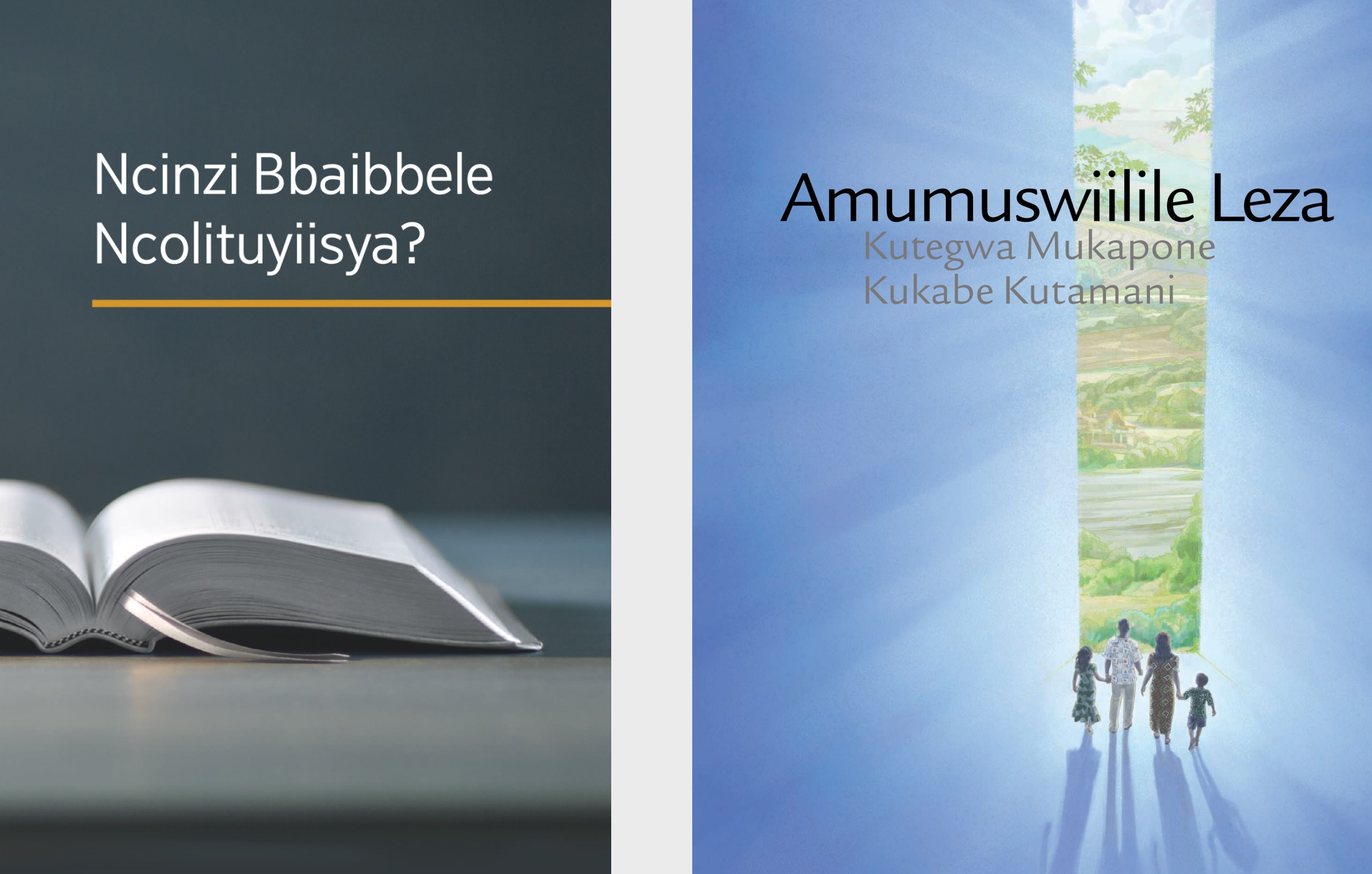 Bbuku lyakuti ‘Ncinzi Bbaibbele Ncolituyiisya?’ alimwi abroshuwa yakuti ‘Amumuswiilile Leza Kutegwa Mukapone Kukabe Kutamani.’