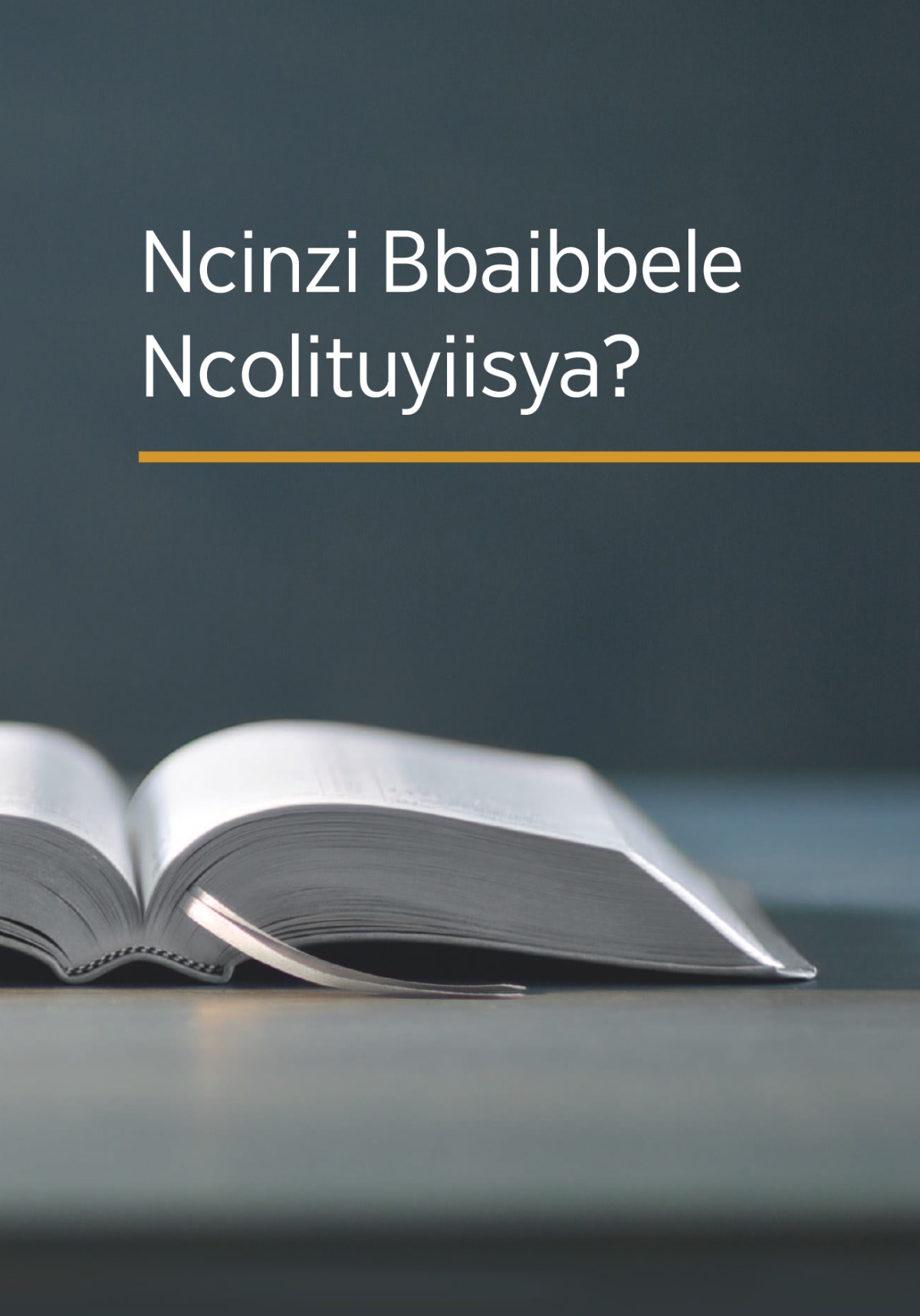 Bbuku lyakuti ‘Ncinzi Bbaibbele Ncolituyiisya?’’