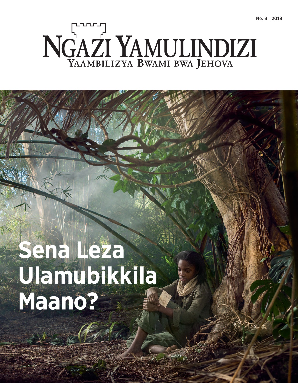 ‘Ngazi Yamulindizi’ No. 3 2018.