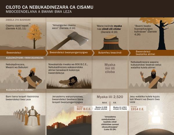 Ccaati iijisi madeeti alimwi azintu zyakacitika kujatikizya ciloto ca Nebukadinezara