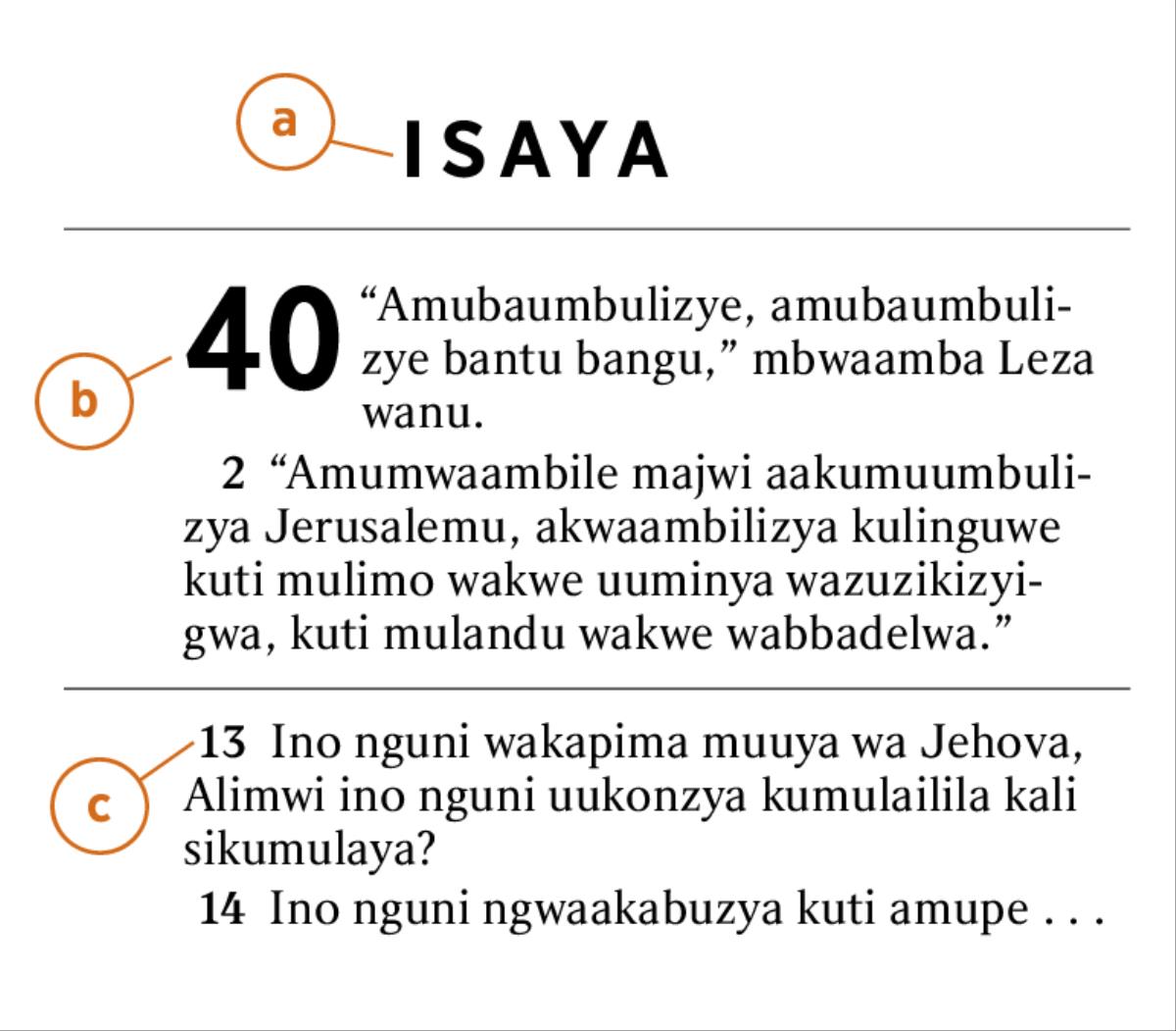 Cibalo camu Bbaibbele cilatondezya mbomukonzya kuzyiba a) Bbuku lyamu Bbaibbele, b) caandaano, alimwi c) kapango