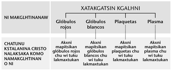 Tabla xla página 247