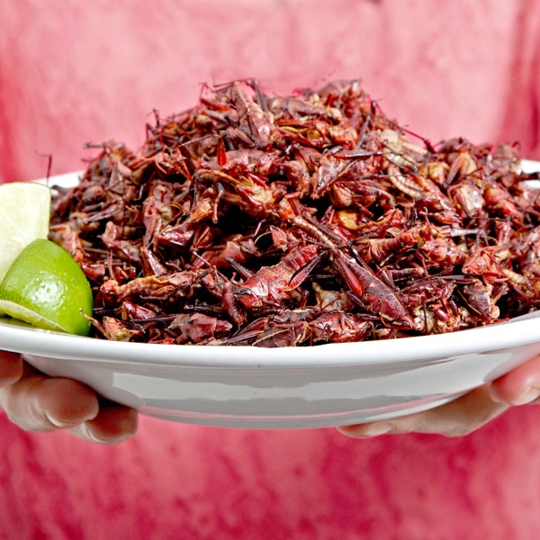 A plate of edible insects
