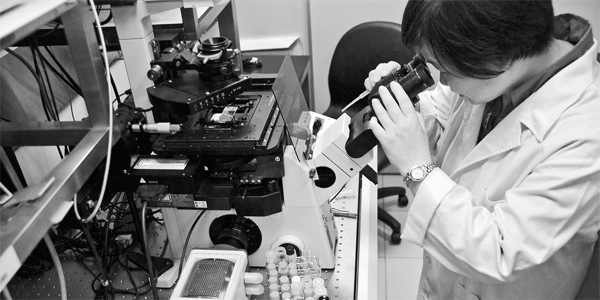 Dr. Feng-Ling Yang