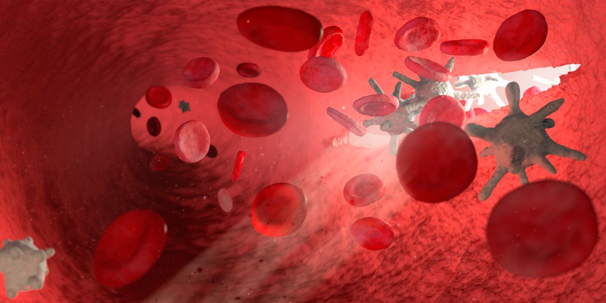 Wanpela atis i droim piksa bilong ol sel insait long blut