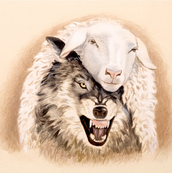 Wulf i karamapim skin bilong sipsip