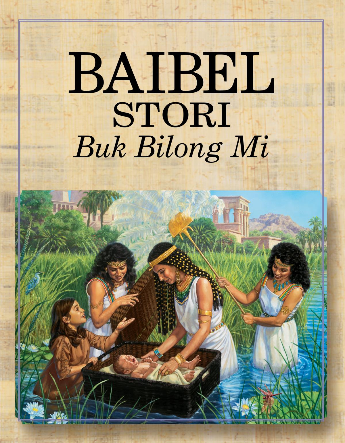 Cover of the Bible Story Book