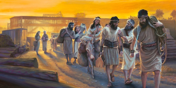 Noah and his household enjoy the privilege of building the ark