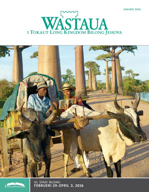 Fran pes bilong Wastaua Bilong Stadi, Janueri 15, 2016