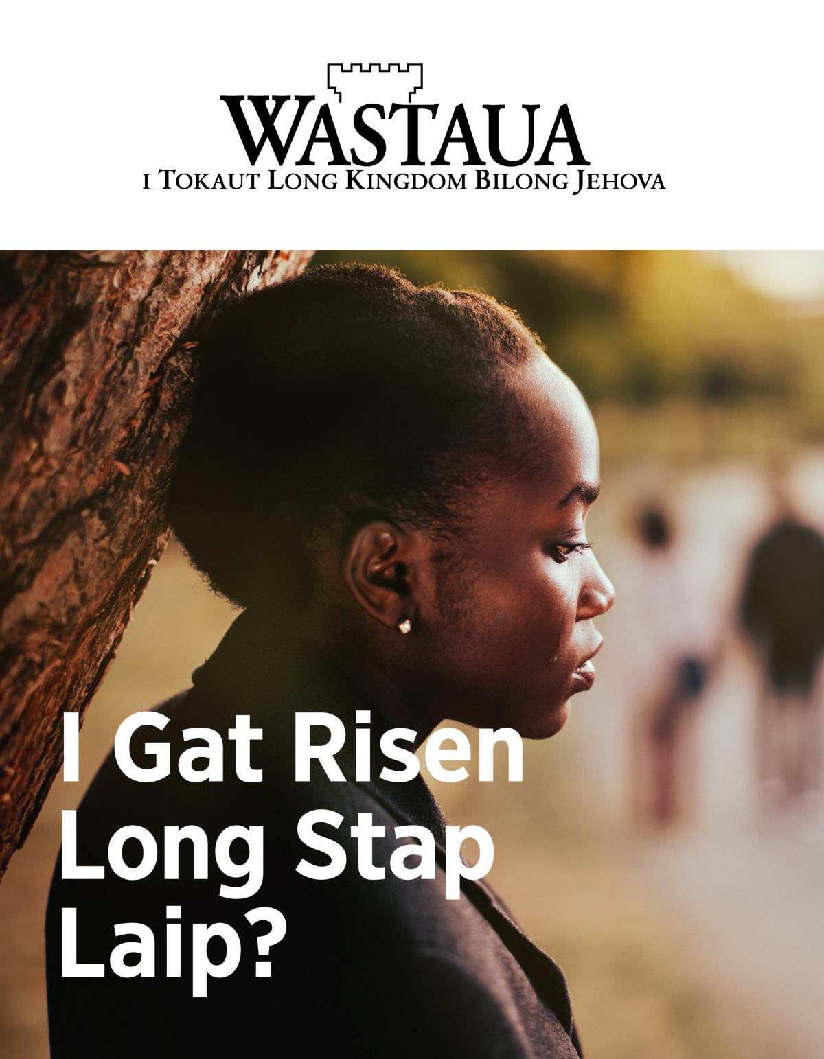 Nius Wastaua, No. 2, 2019 | I Gat Risen Long Stap Laip?