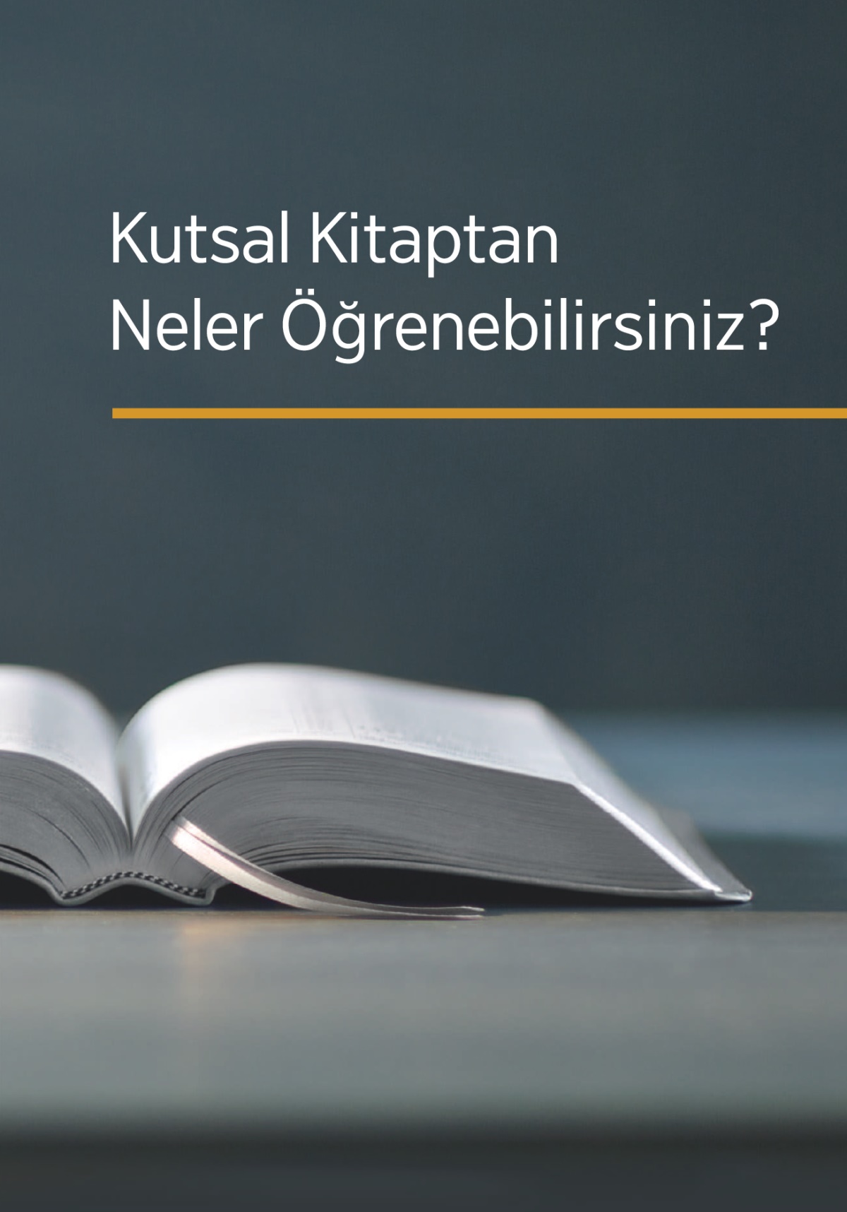‘Kutsal Kitaptan Neler Öğrenebilirsiniz?’ kitabı