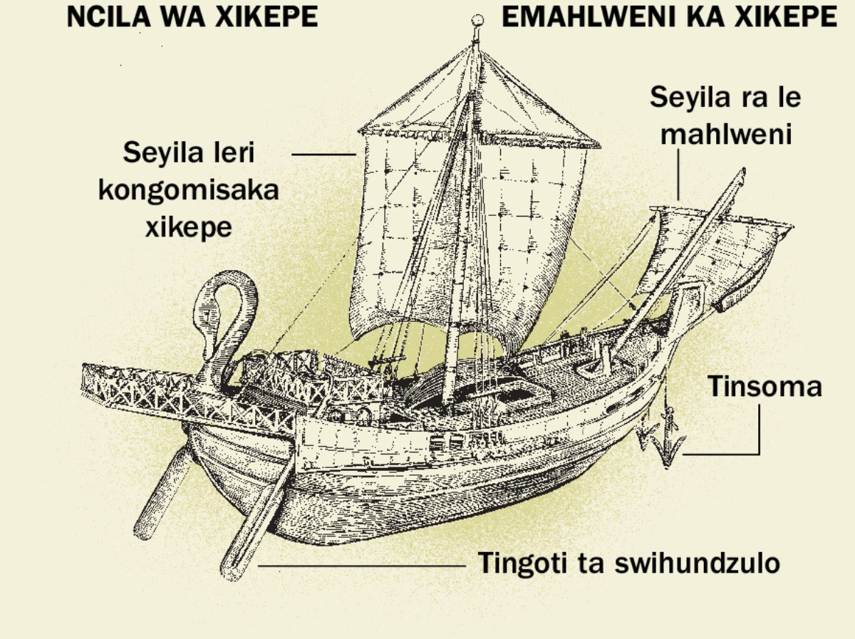 Xikepe xa khale ni swi swiphemu swa xona swa mune ku sukela ecileni ku ya enhlokweni. 1. Tingoti ta swihundzulo. 2. Maseyila. 3. Tinsoma. 4. Seyila.