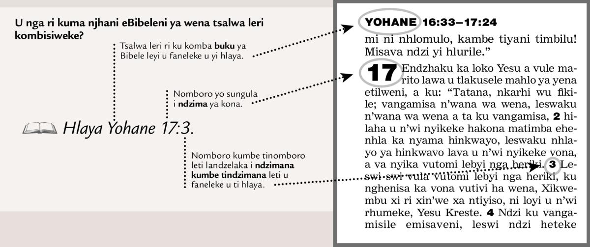 [Xifaniso lexi nga eka tluka 2]
