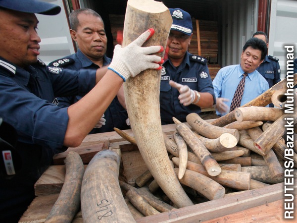Valawuri va le Malaysia va teke timhondzo ta tindlopfu