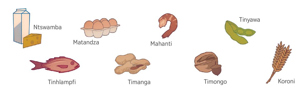 Ntswamba, mandza, tihunga, tinyawa, hlampfi, timanga, timongo ta le misinyeni, ni koroni