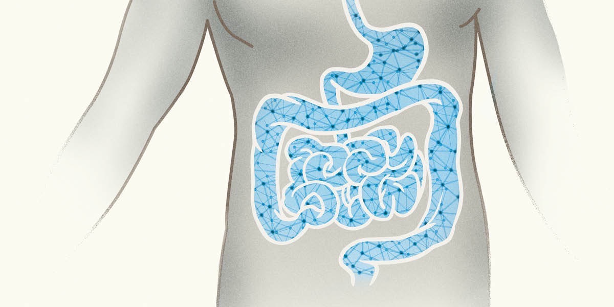 Misiha ya enteric nervous system ekhwirini