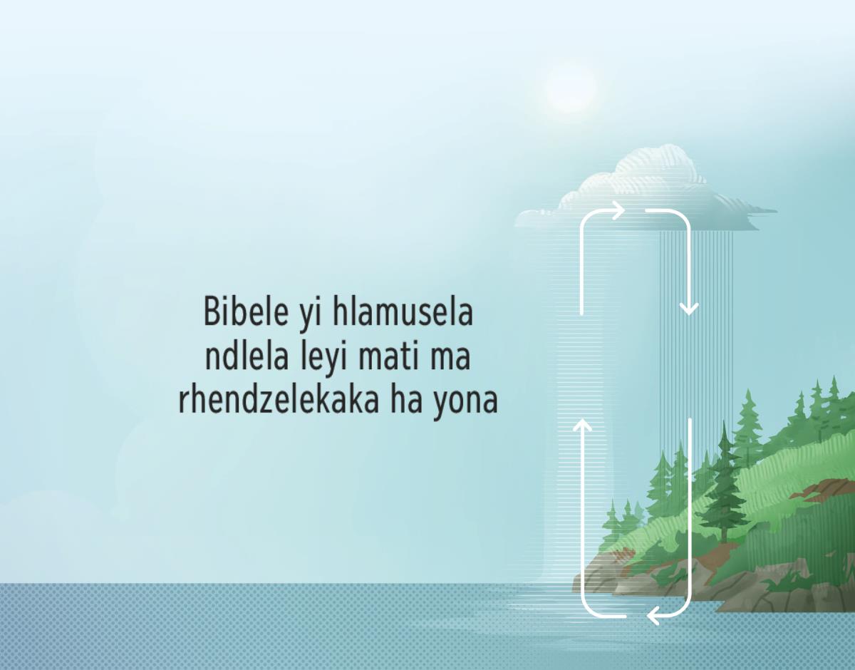 Bibele yi hlamusela ndlela leyi mati ma rhendzelekaka ha yona. Miseve leyi kombaka ndlela leyi mati ma rhendzelekaka ha yona.