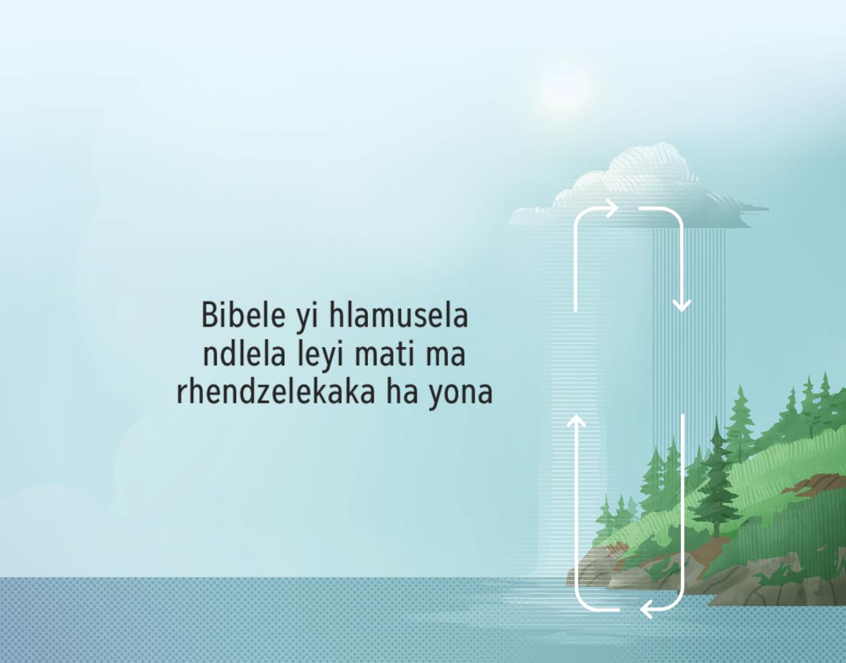 Bibele yi hlamusela ndlela leyi mati ma rhendzelekaka ha yona. Miseve leyi kombaka ndlela leyi mati ma rhendzelekaka ha yona.